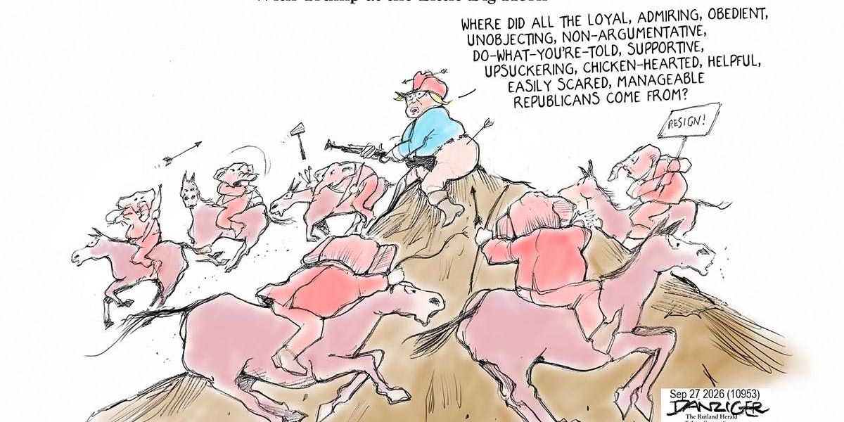 Danziger Draws