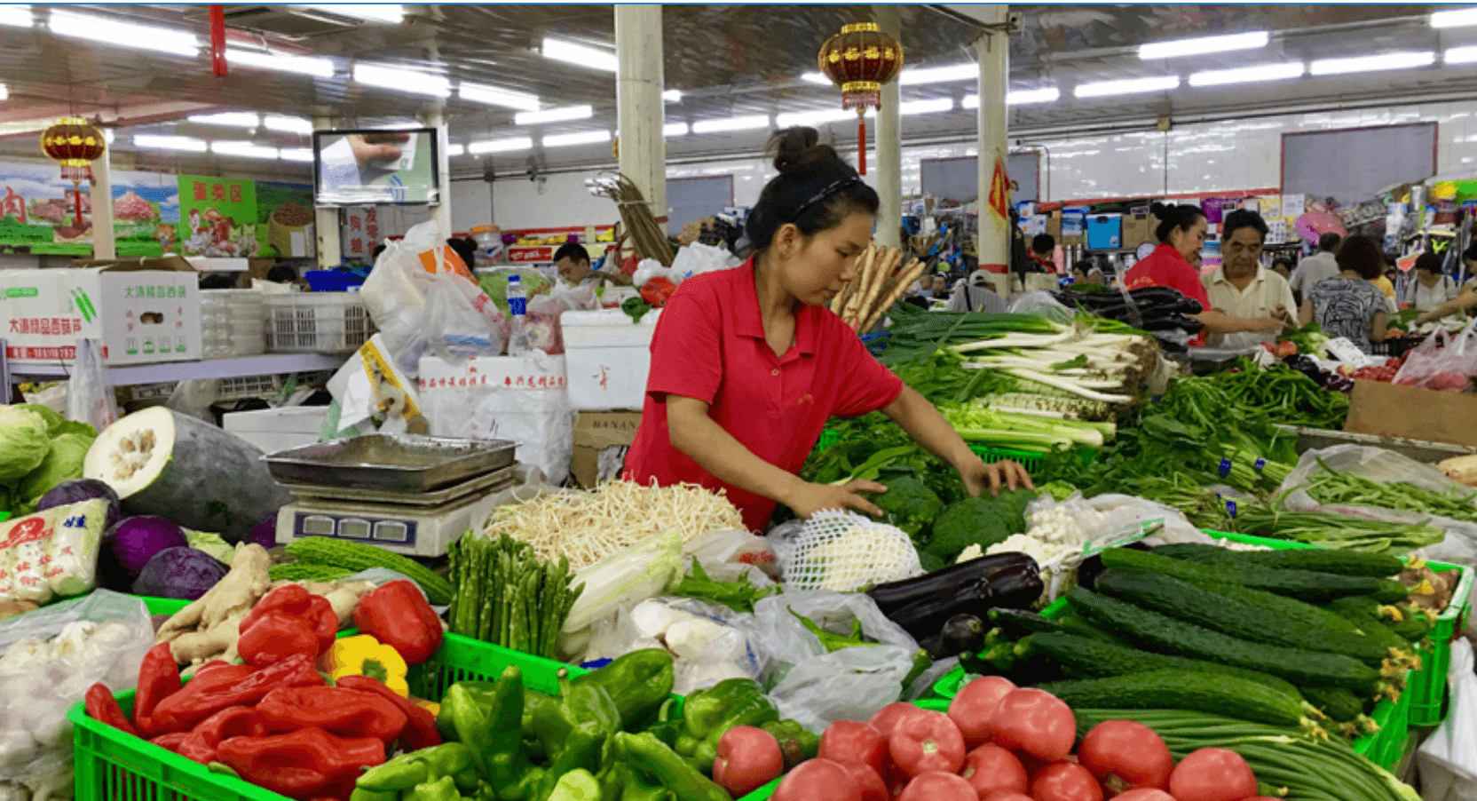 Prices And Elections: Why Trump's  Inflation Aggravates Voter Outrage