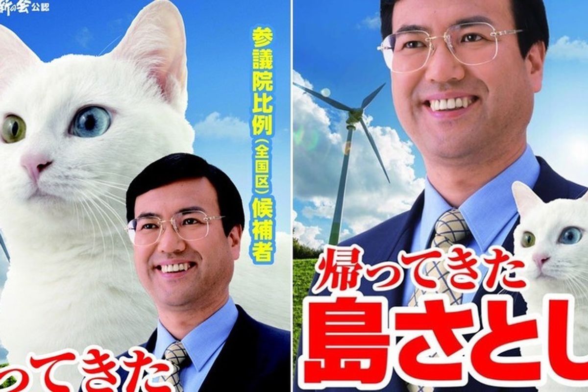 Japanese Politician Campaigns with a Cat