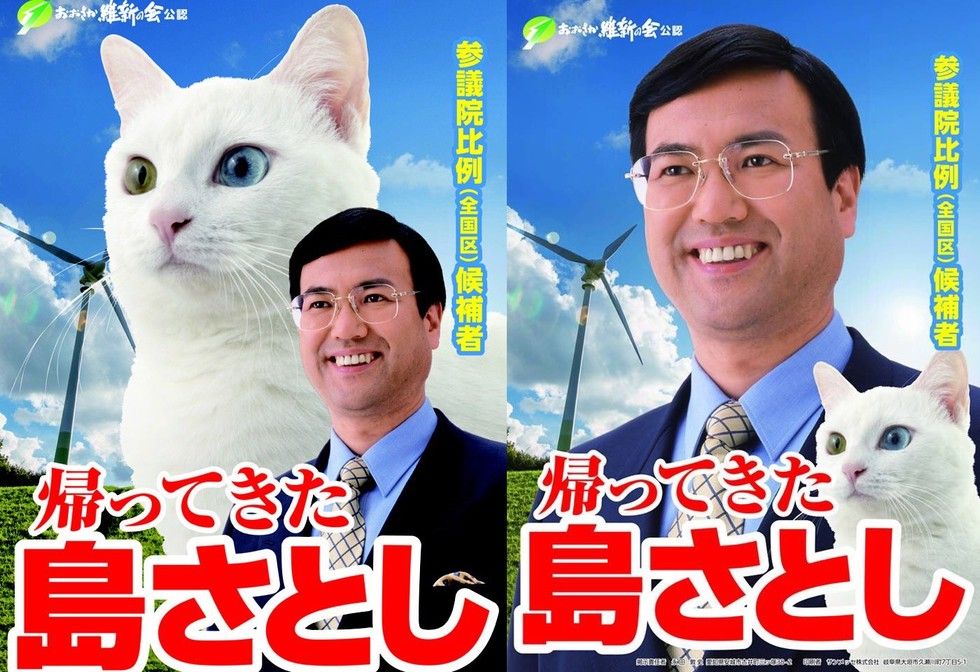 Japanese Politician Campaigns With A Cat Love Meow
