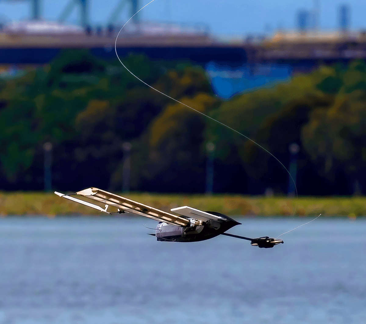 Robotics Videos: Bioinspired Robotics, Modular Arm, More