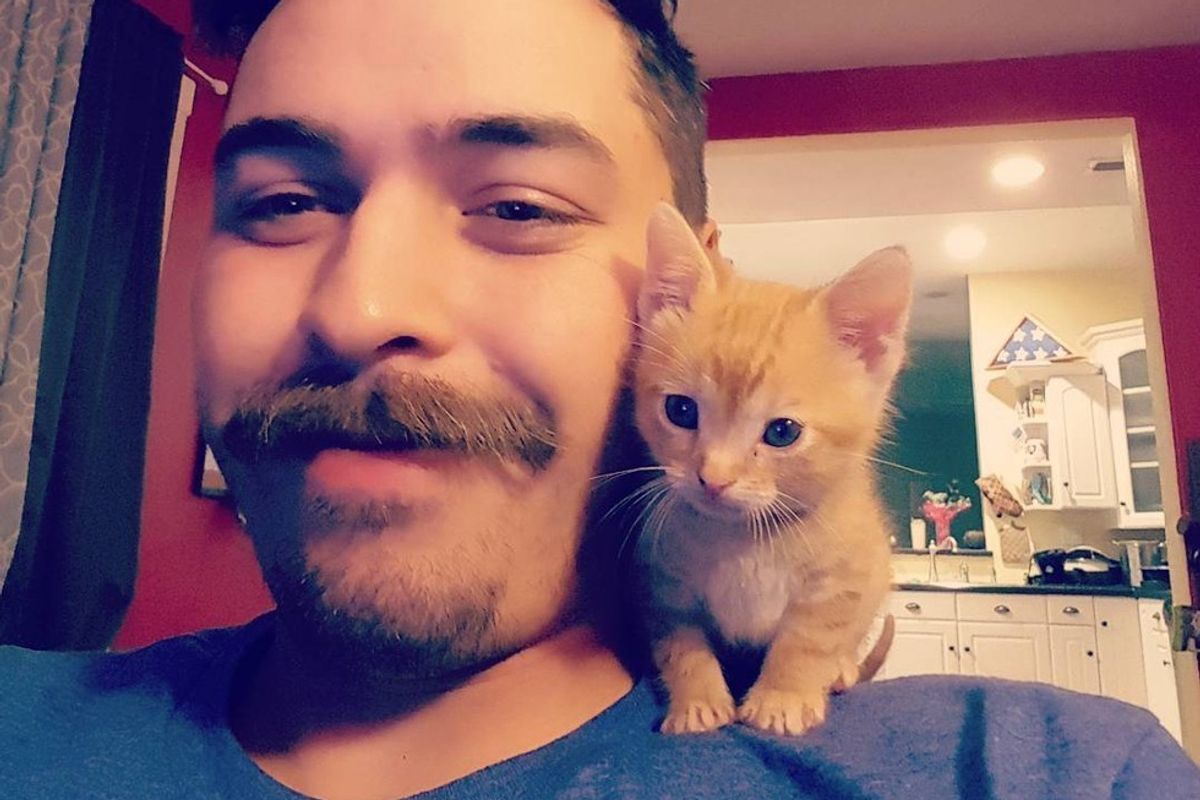 Man Saves a Tiny Kitten who Becomes His Purrfect Partner
