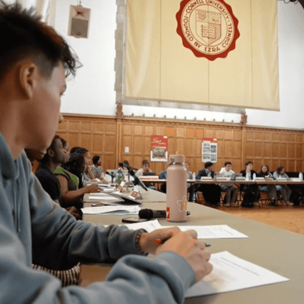 The Cornell Seven: What Do Men Think Women Want?
