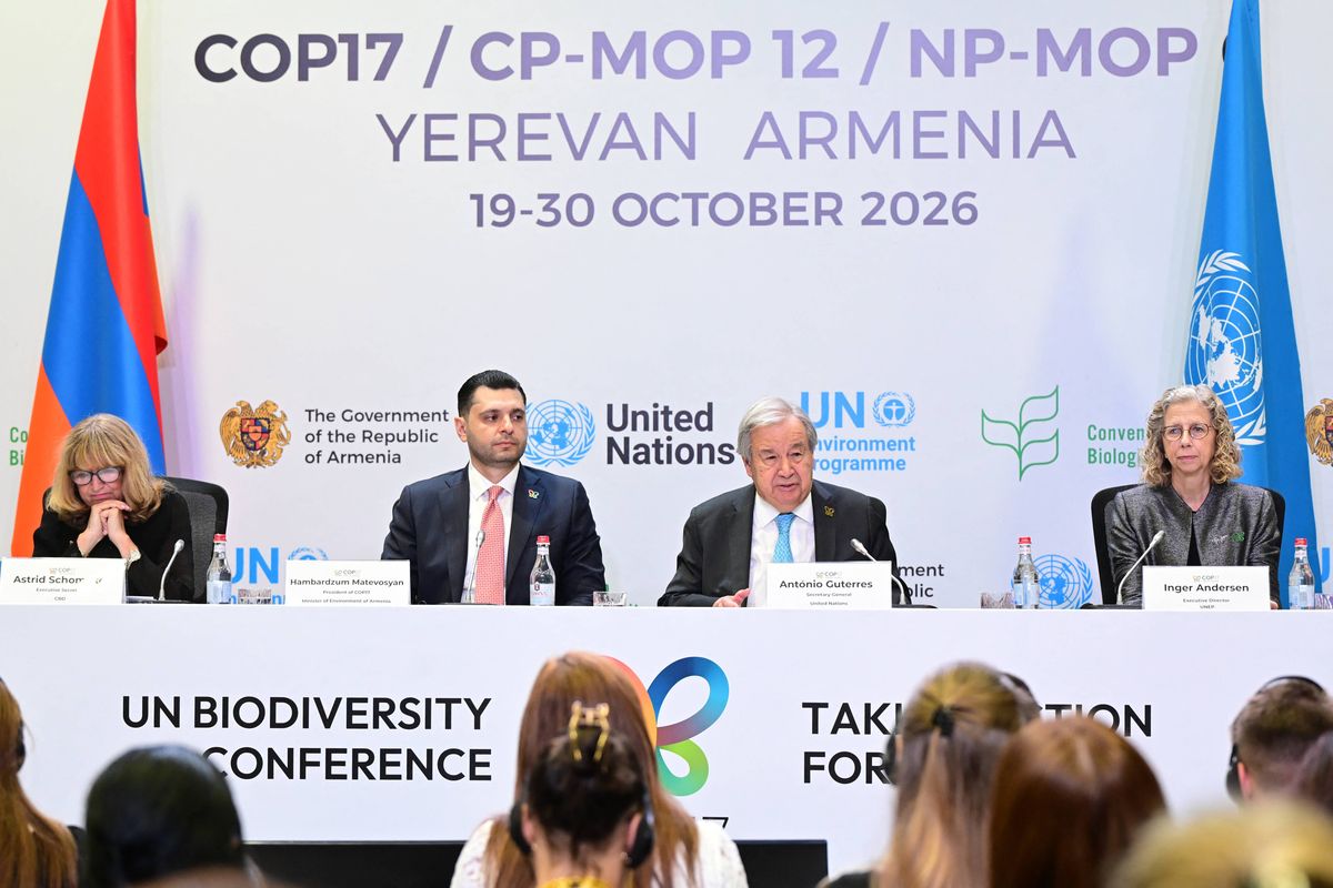 COP17: A Global Reckoning for Nature Conservation | Common Dreams