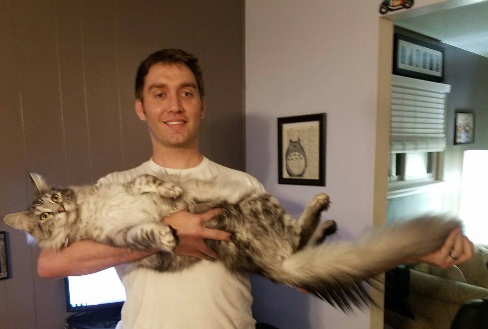 This Fluffy Cat May Have the World's Longest Tail - Love Meow