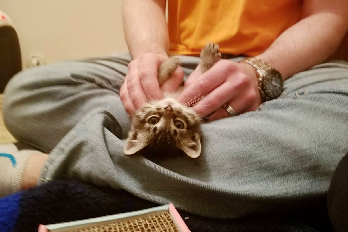 Stray Kitten Found in Abandoned Building is Turned Around by Love
