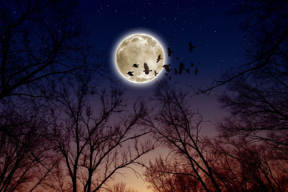 Full Moon In Capricorn: Here's What You NEED To Know About New