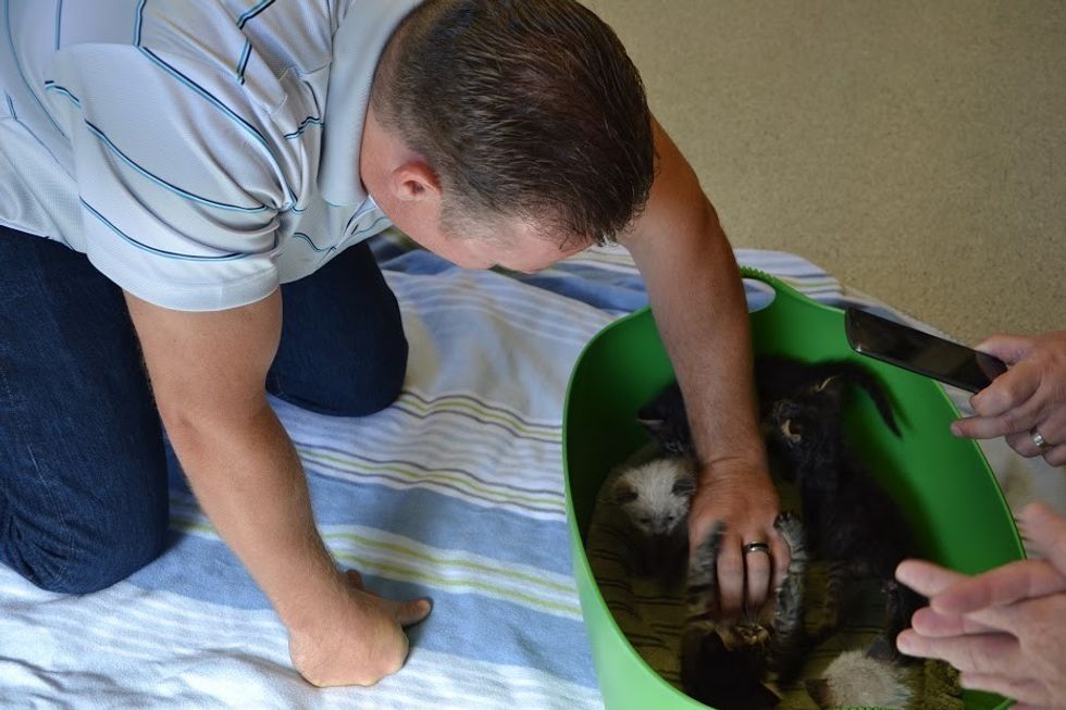 Waste Management Worker Saves 6 Crying Newborn Kittens Found in ...