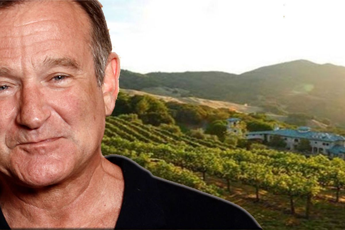 robin williams house tour