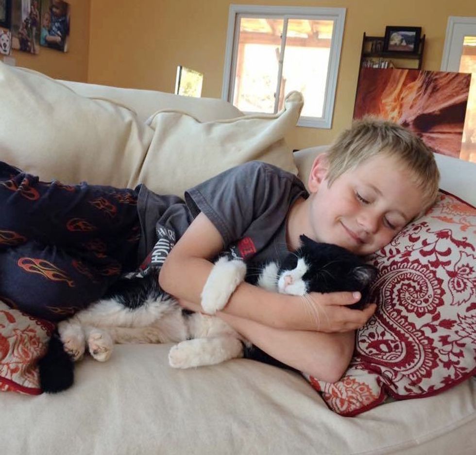 Cat Found a Home at 20, Two Years Later, He Has So Much Love to Give ...