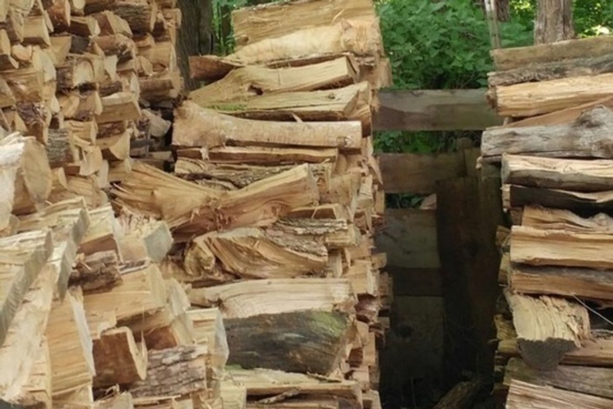Cat Hiding in Plain Sight. Can You Find the Kitty?