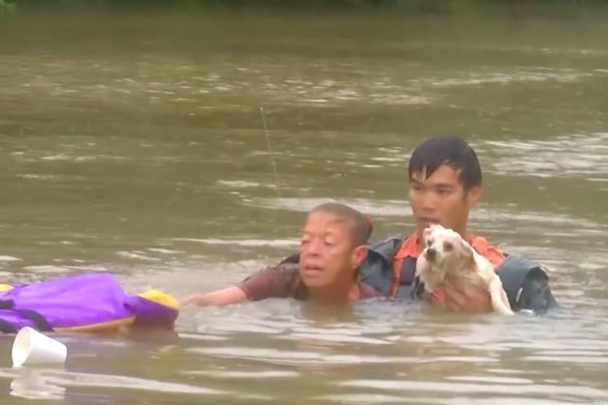 Man Rescues Woman from Sinking Car and Goes Back to Save Her Pet