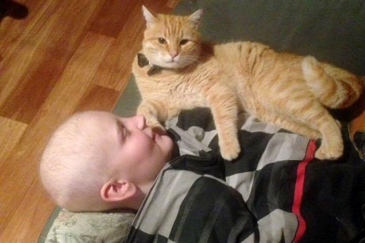 Boy Saves Abandoned Cat From Street, the Kitty Returns the Favor