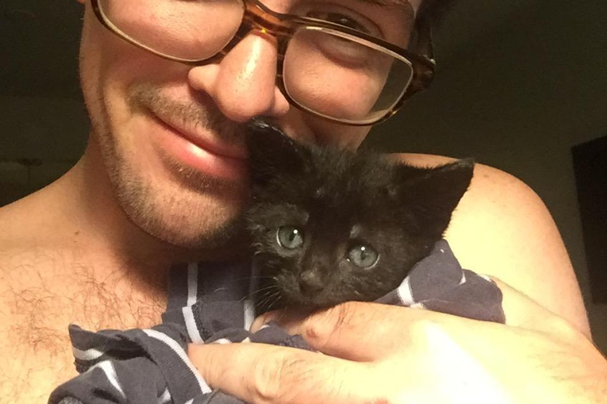 Orphaned Kitten Falls Asleep in Man's Arms and Chooses Him as Family