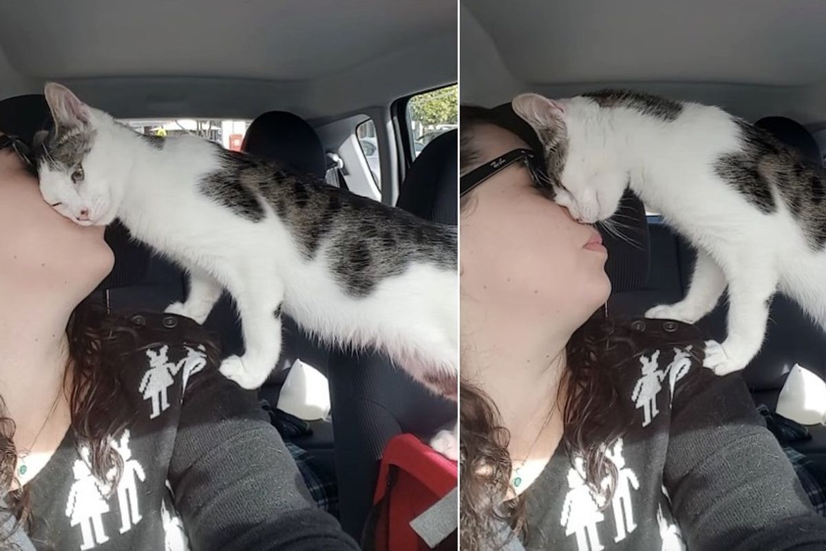Cat Saved Hours Left on Death Row Can't Stop Thanking His Rescuer