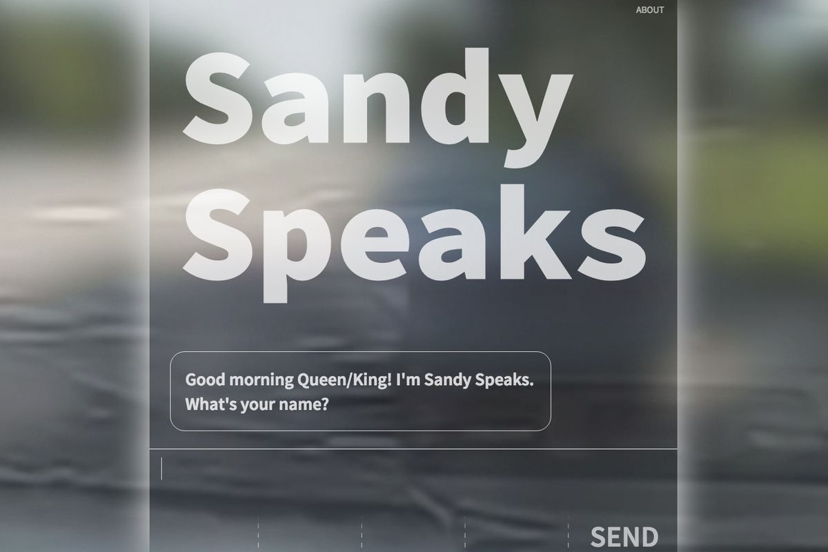 Sandy Speaks: a Chatbot That Talks Prison Statistics & the Failure of Surveillance