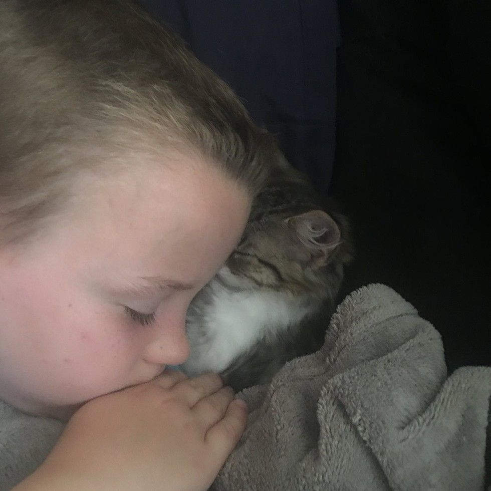 3 week old Kitten Walks Up To Boy In Distress And Becomes His Guardian
