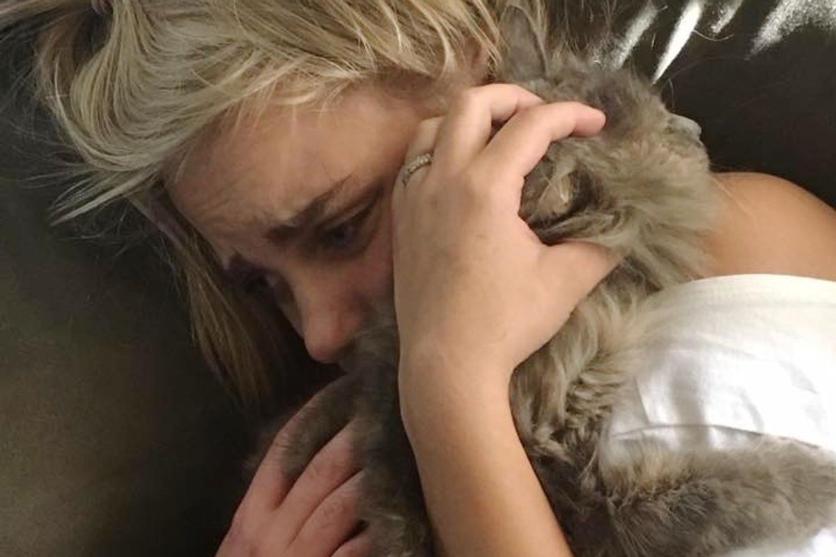 Woman's Search for Her Missing Cat Helps Reunite Another Lost Cat with Her Humans