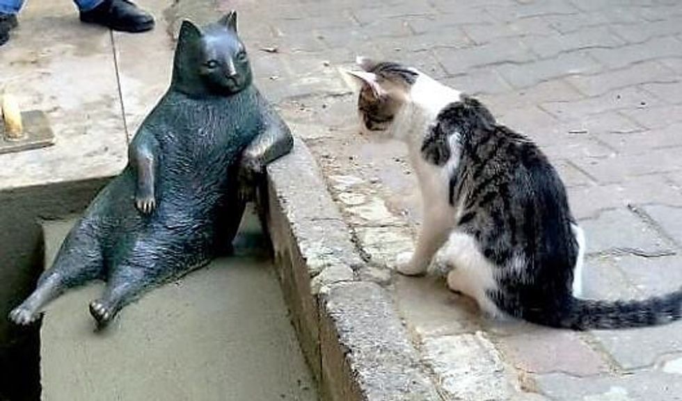 Iconic Laidback Cat Immortalized with His Own Statue at His Favorite