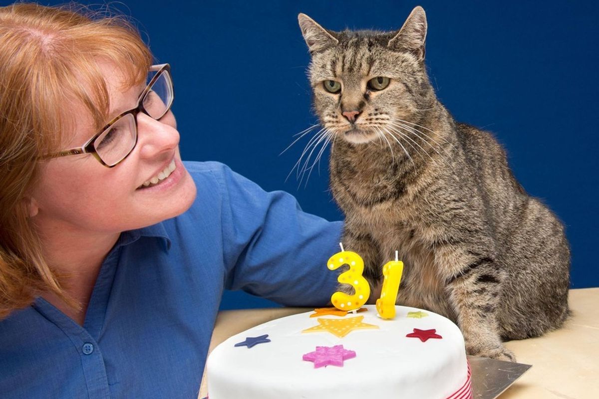 32-year-old Cat Who Found His Humans 27 Years Ago, Left an Incredible Legacy...