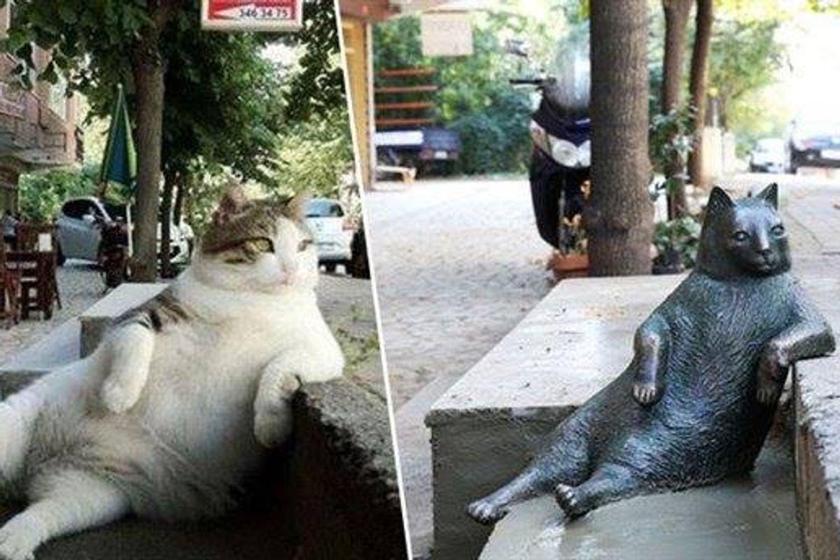 Iconic Laid-back Cat Immortalized with His Own Statue at His Favorite Spot
