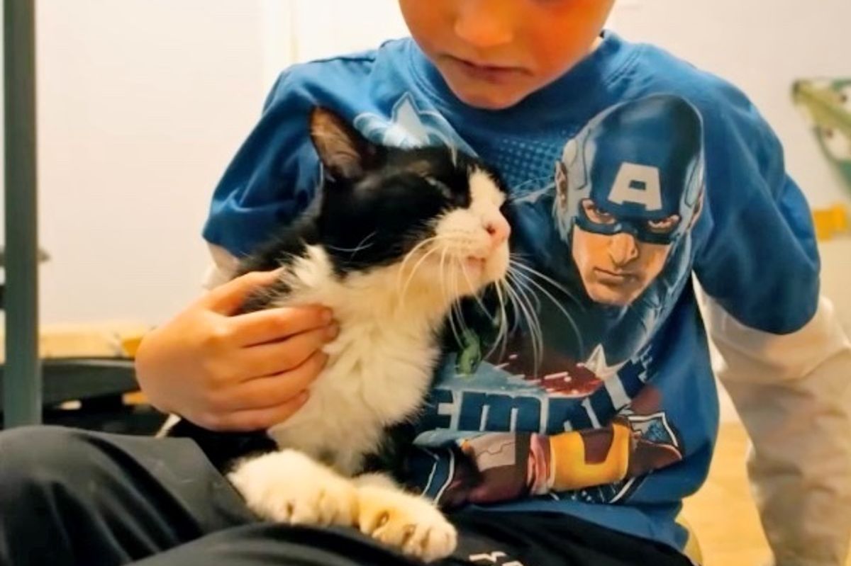 Cat Was 20 When He Found His Home, No One Expected Just How Much Love He Had