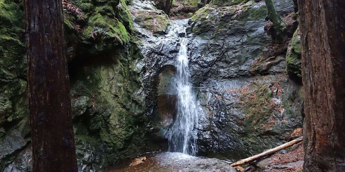 A Modern Guide to Mill Valley Scenic Trails, Renowned Restaurants