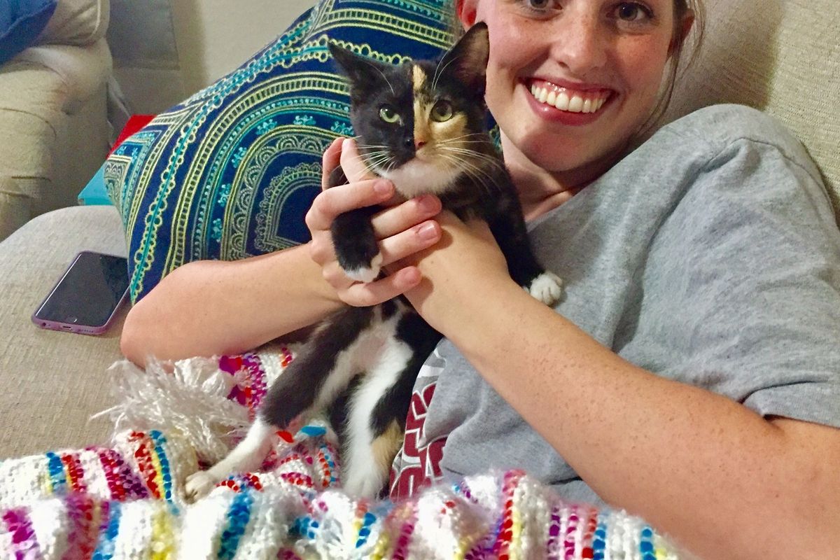 Man Brought Kitten with No Mom to Comfort His Wife Who Had a Miscarriage