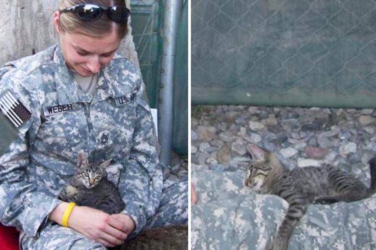 Soldier Refuses to Leave Special Needs Kitten Behind...