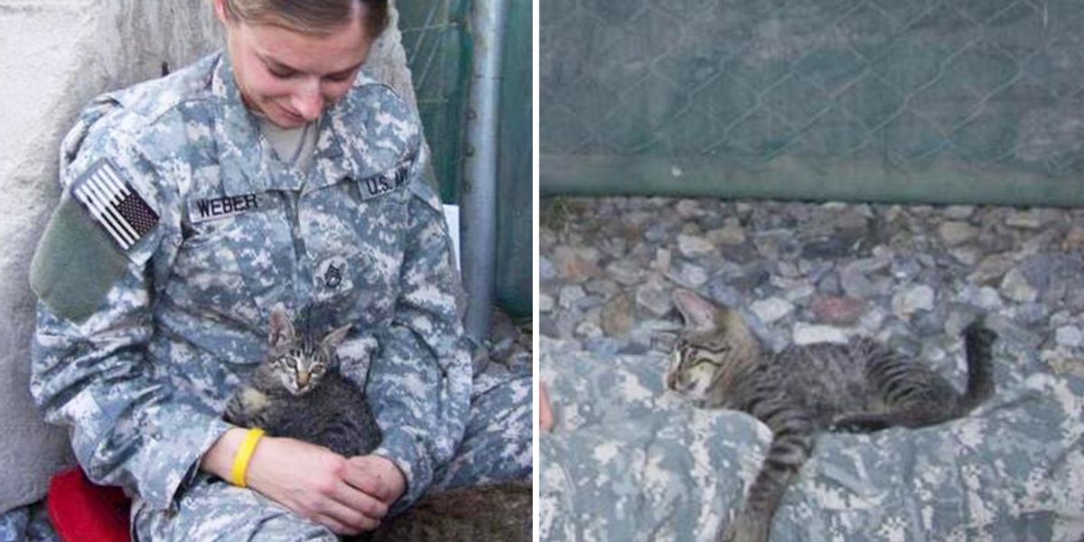 Soldier Refuses to Leave Special Needs Kitten Behind... Love Meow