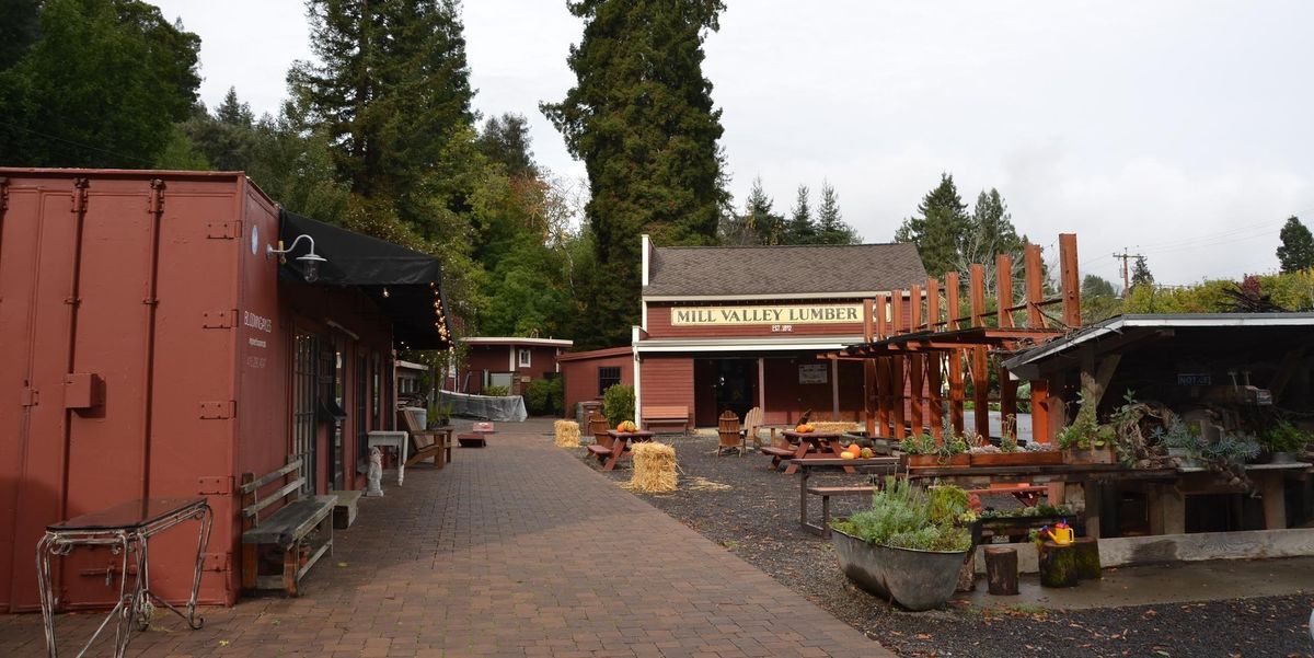 dating relationship tip