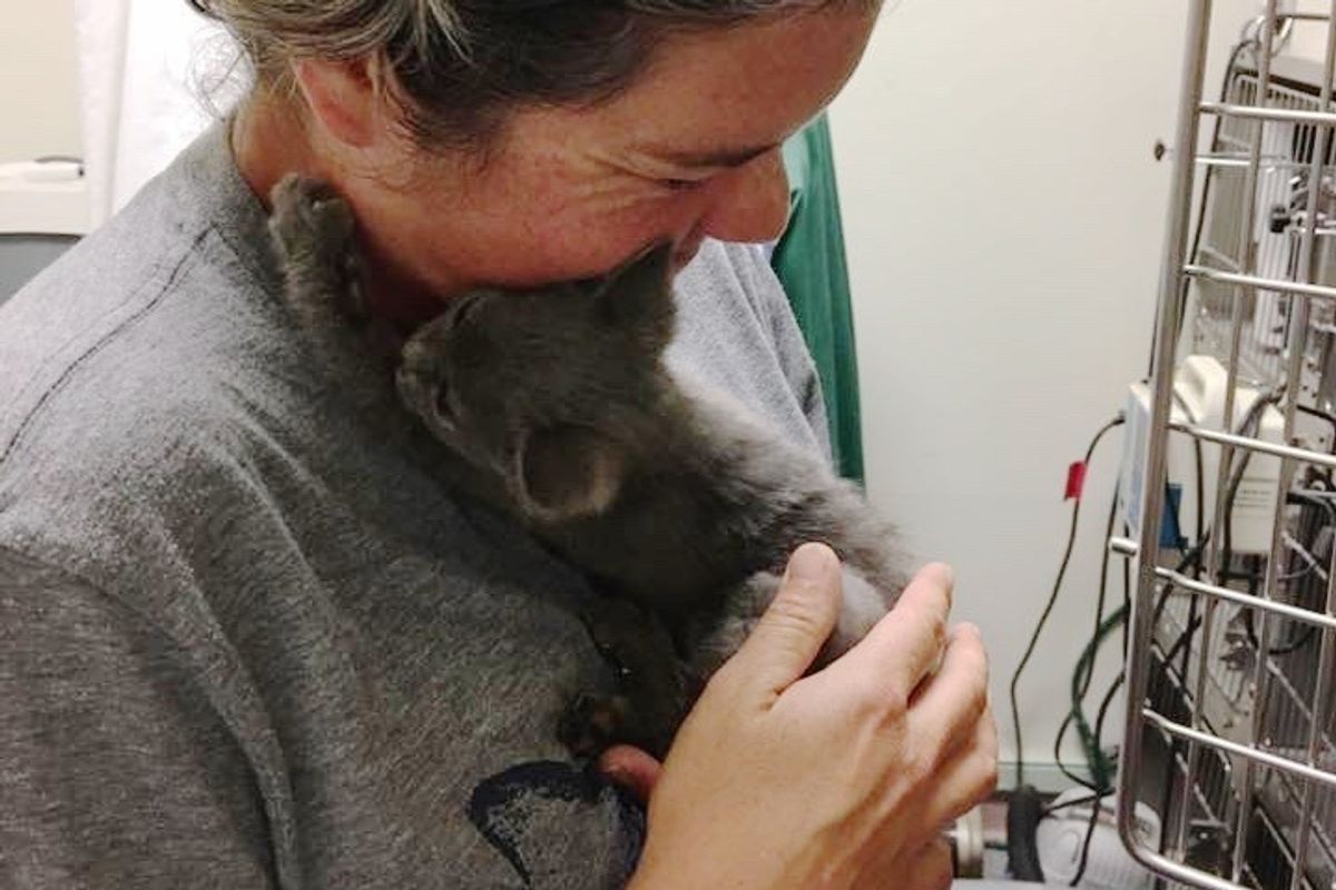 Abandoned Kitten Saved from Highway Can't Stop Thanking Her Rescuers