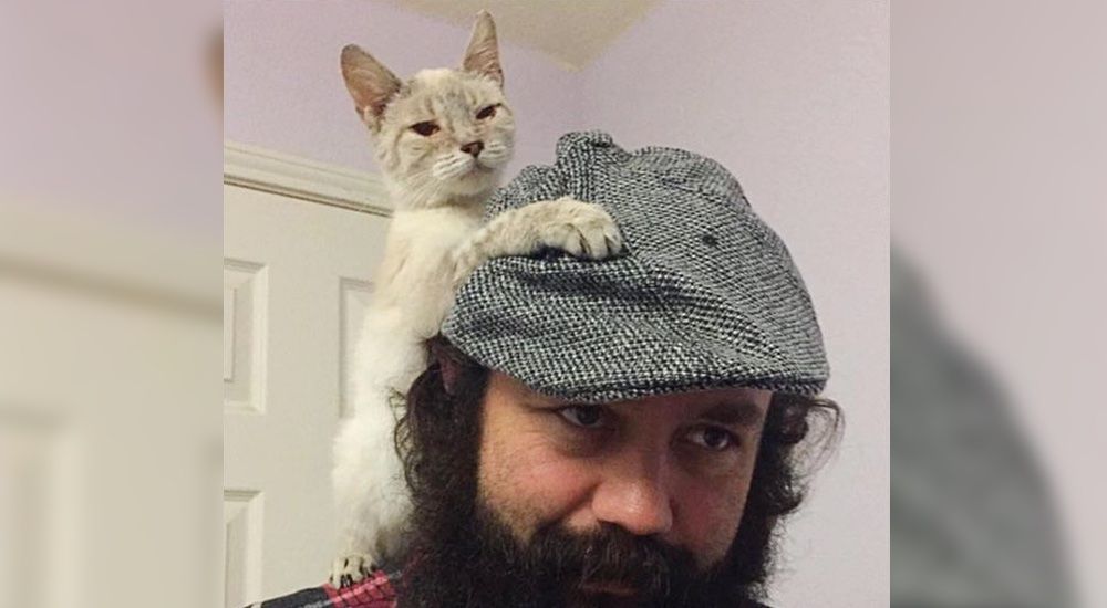 2 Year Old Cat Size Of 3 Month Kitten Can T Stop Hugging Her Rescuers Who Saved Her From Death Row Love Meow