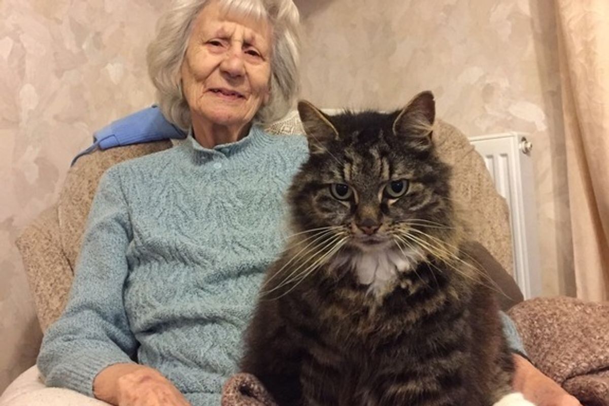 Cat Brings Meaning to 90 Year Old Grandma and is the Love of Her Life