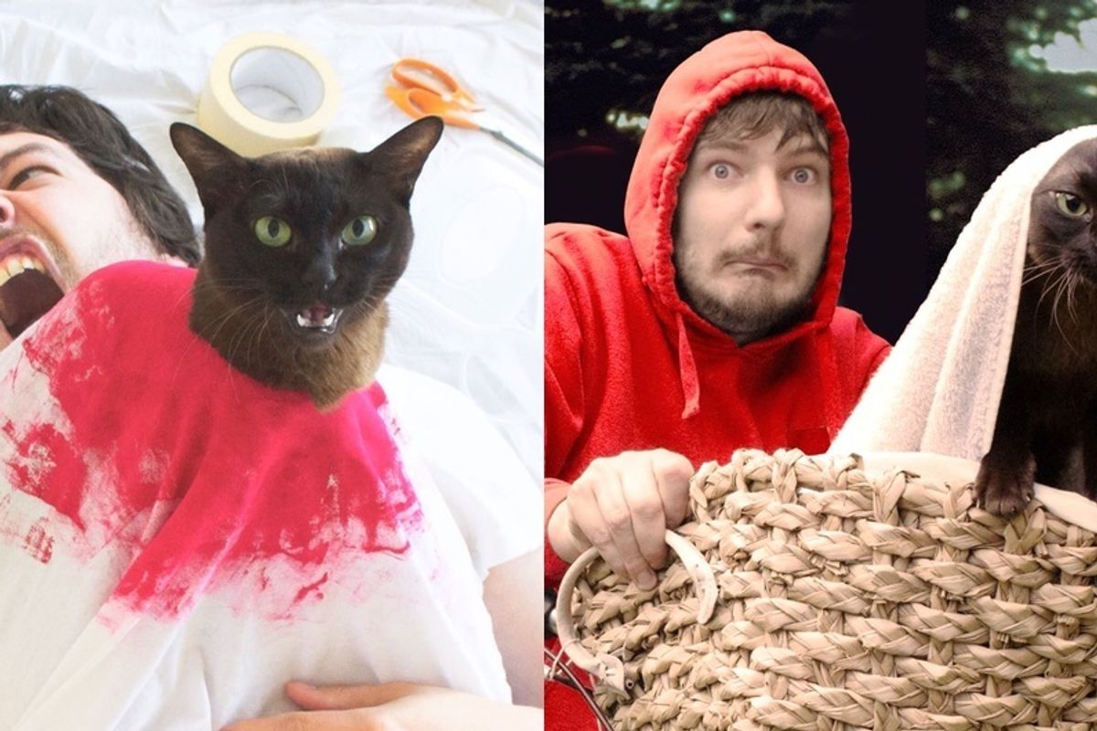 Guy and His Cats Recreate Famous Movie Scenes Together..