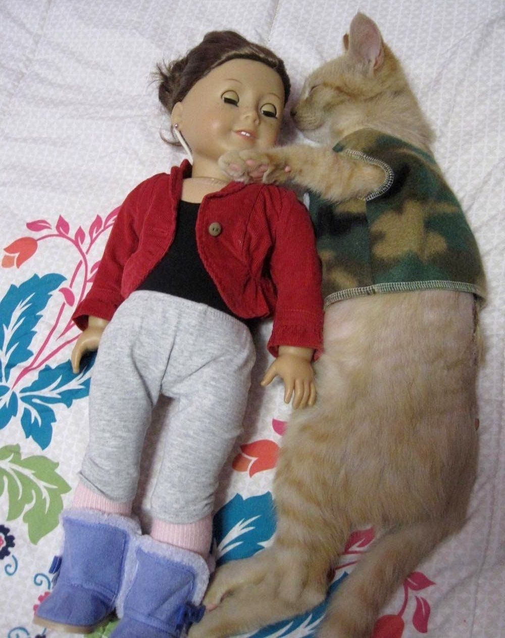 Injured Kitten Comforted by American Girl Doll Clothes It Changes