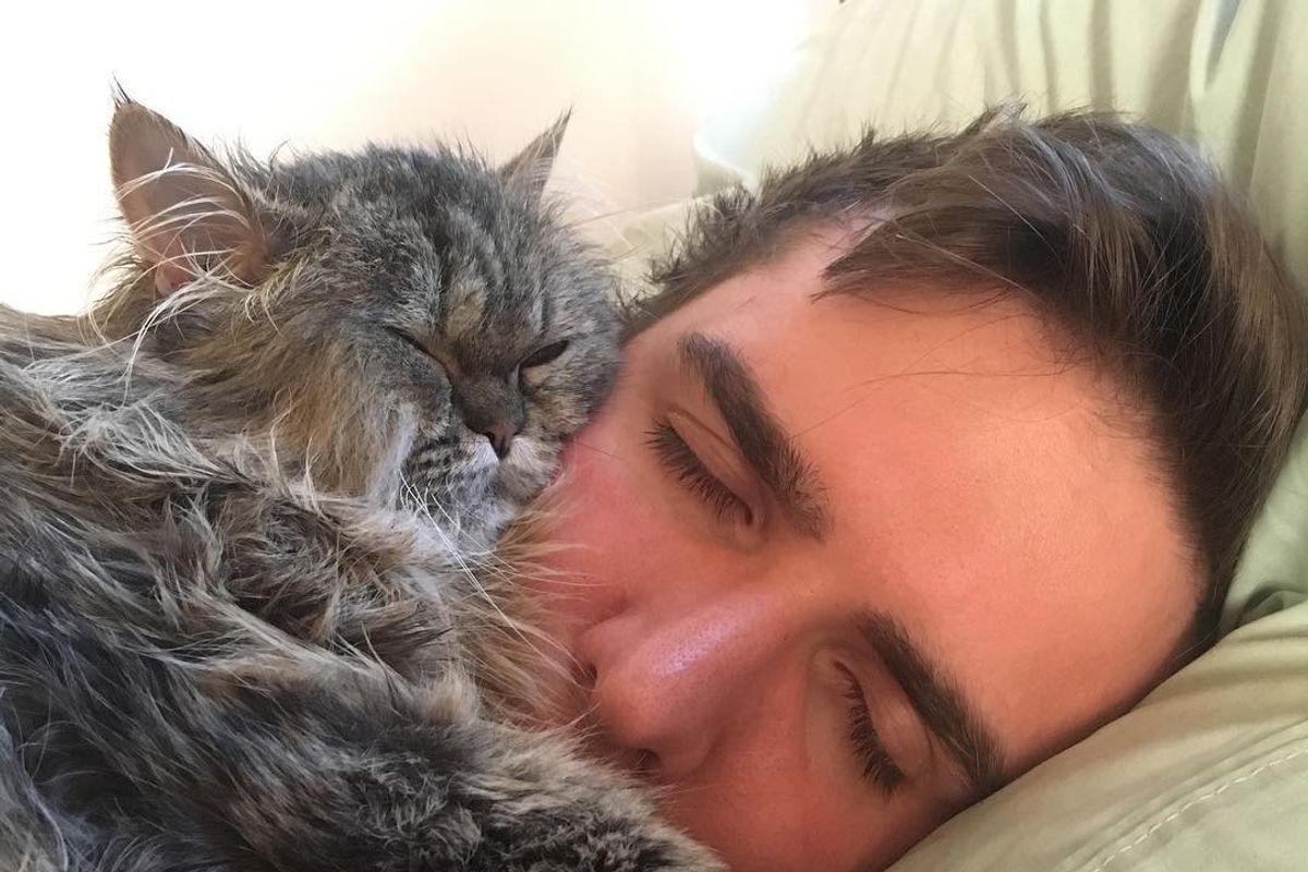 Couple Refuse to Give Up on Paralyzed Cat Even When Told Many Times to