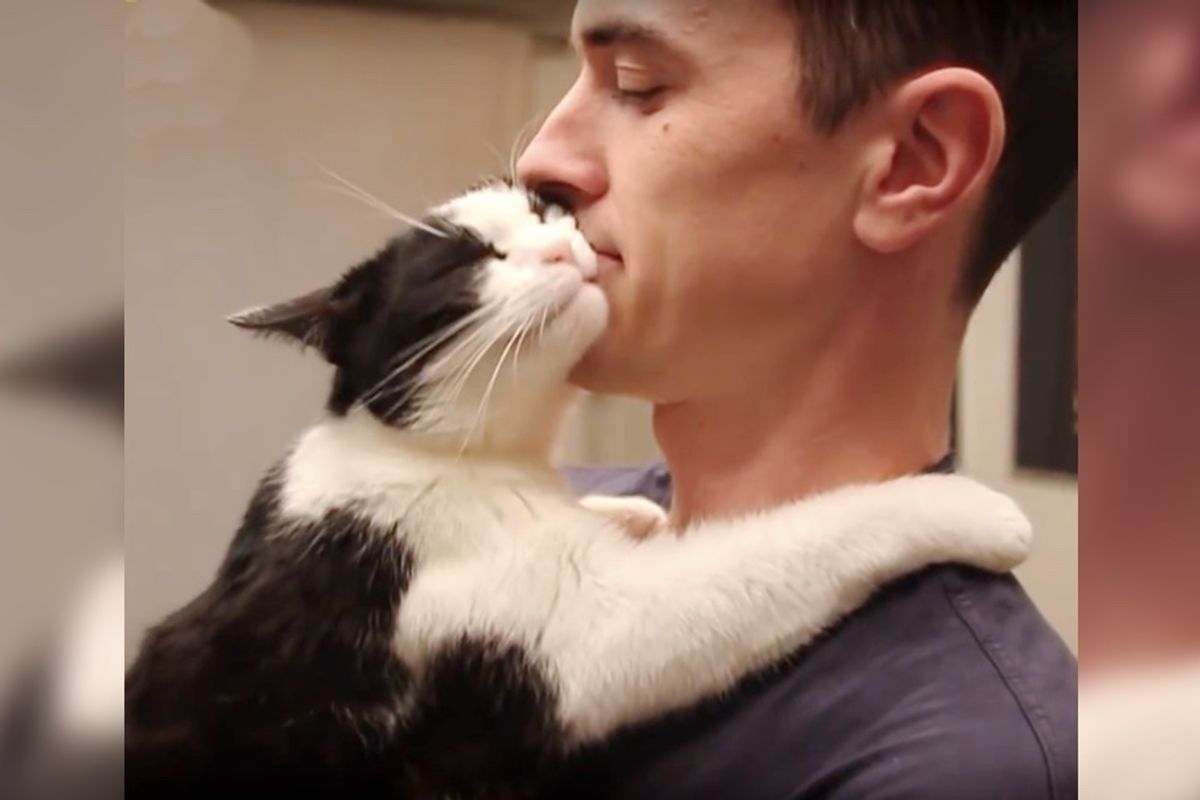 Cat Saved from Abandoned Box Can't Stop Thanking His Rescuer with Affection