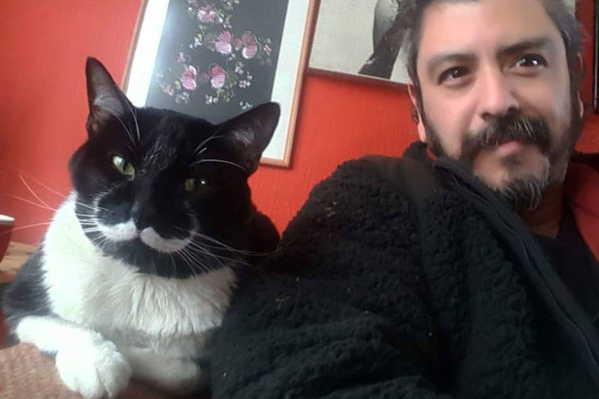 Man Finds Tuxedo Cat with Purrfect Stache and Gentle Heart
