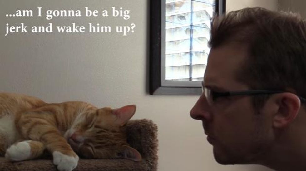 Cat Man Chris Responds to the Guy Who Vengeance Meowed in His Cat's