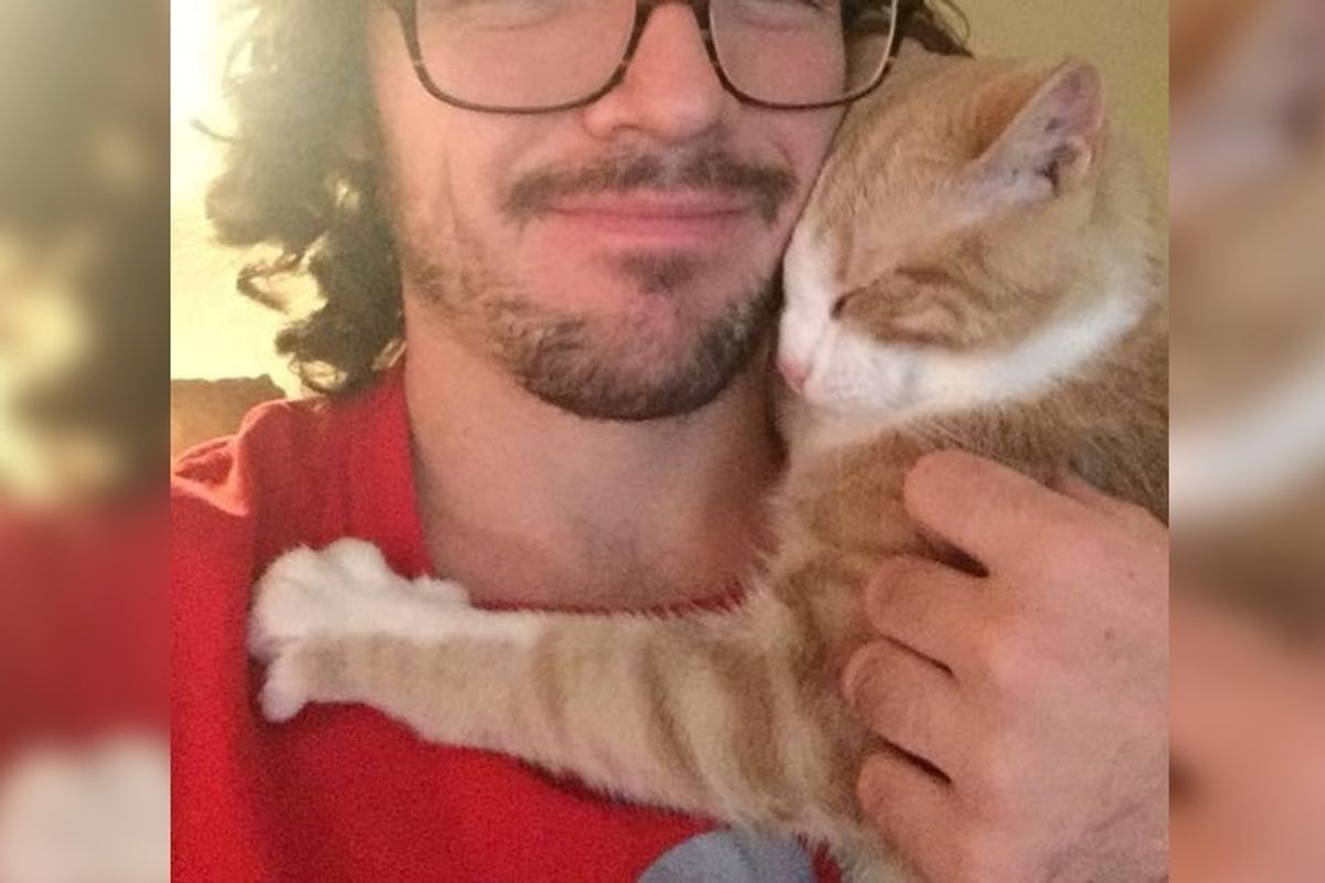 Young Man Took Cat Out of Shelter, Hours After Adoption..