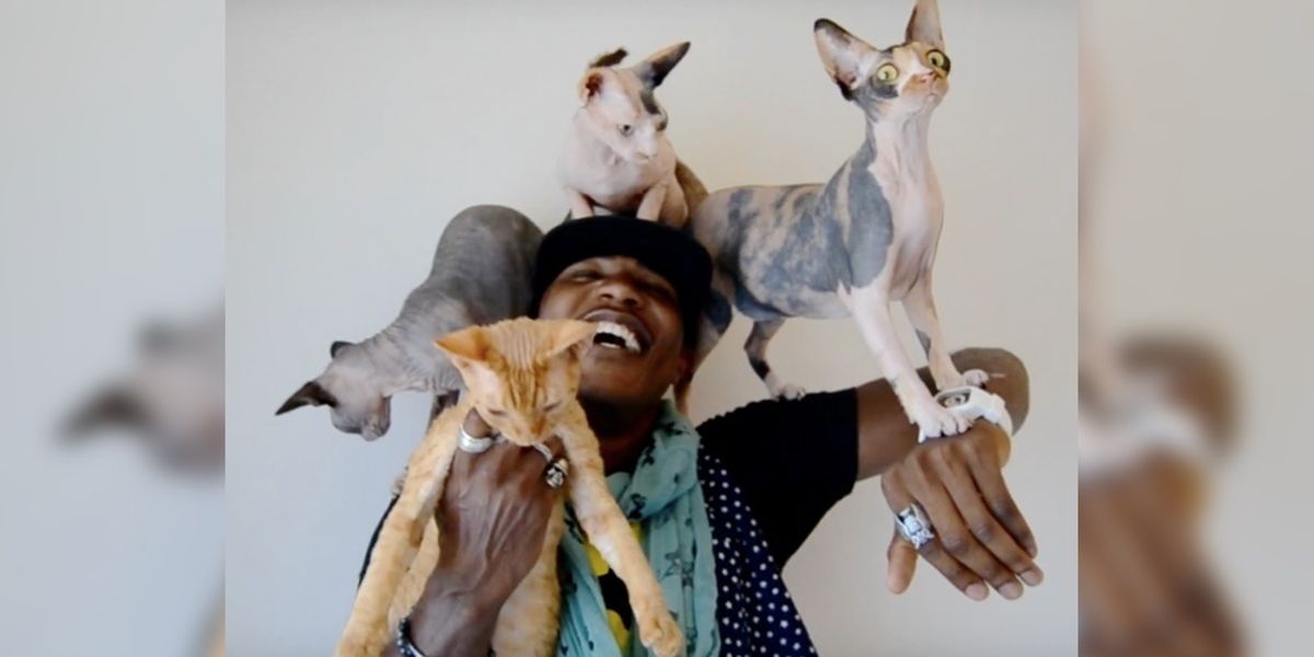 Man Who Never Liked Cats Now Can’t Live Without Them and Helps Them