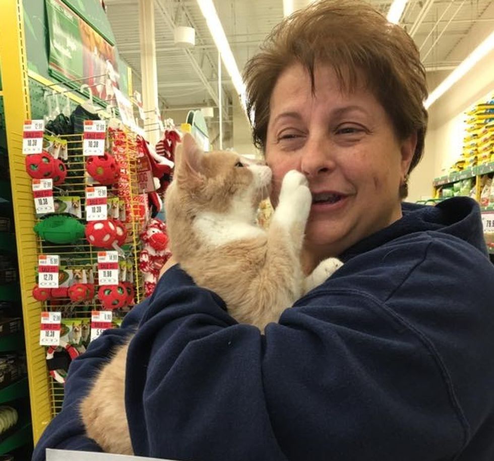 Rescue Cat So Happy to Be Adopted He Can't Stop Hugging His Human