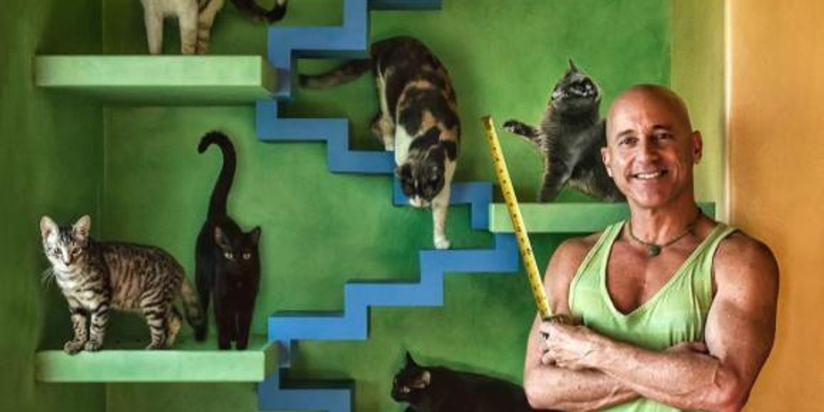 Man Transforms His House into Cat Paradise for His 22 Rescued Cats