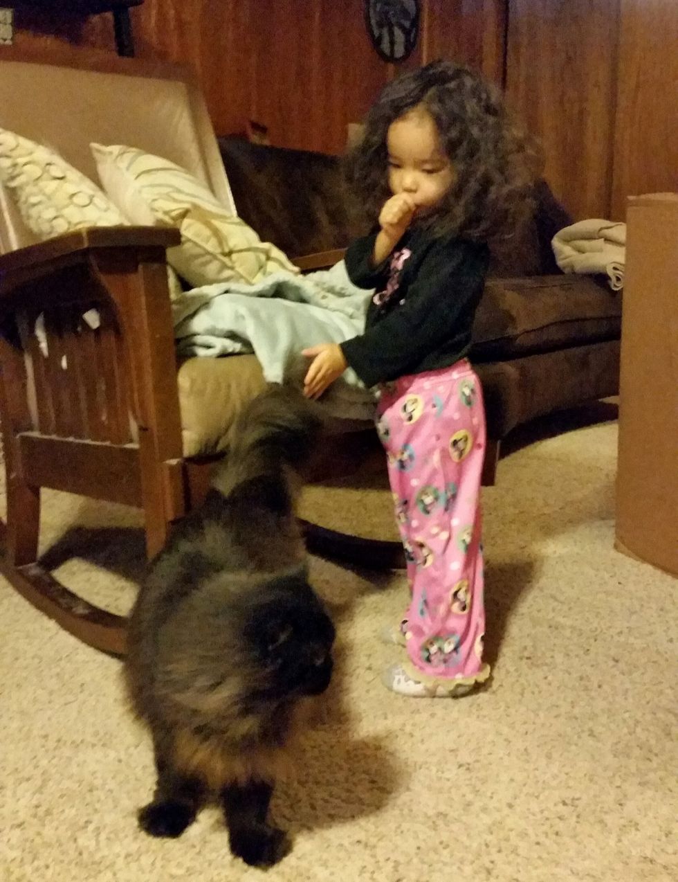 Tiny Kitten Bonds with Baby Girl and Her Guardian