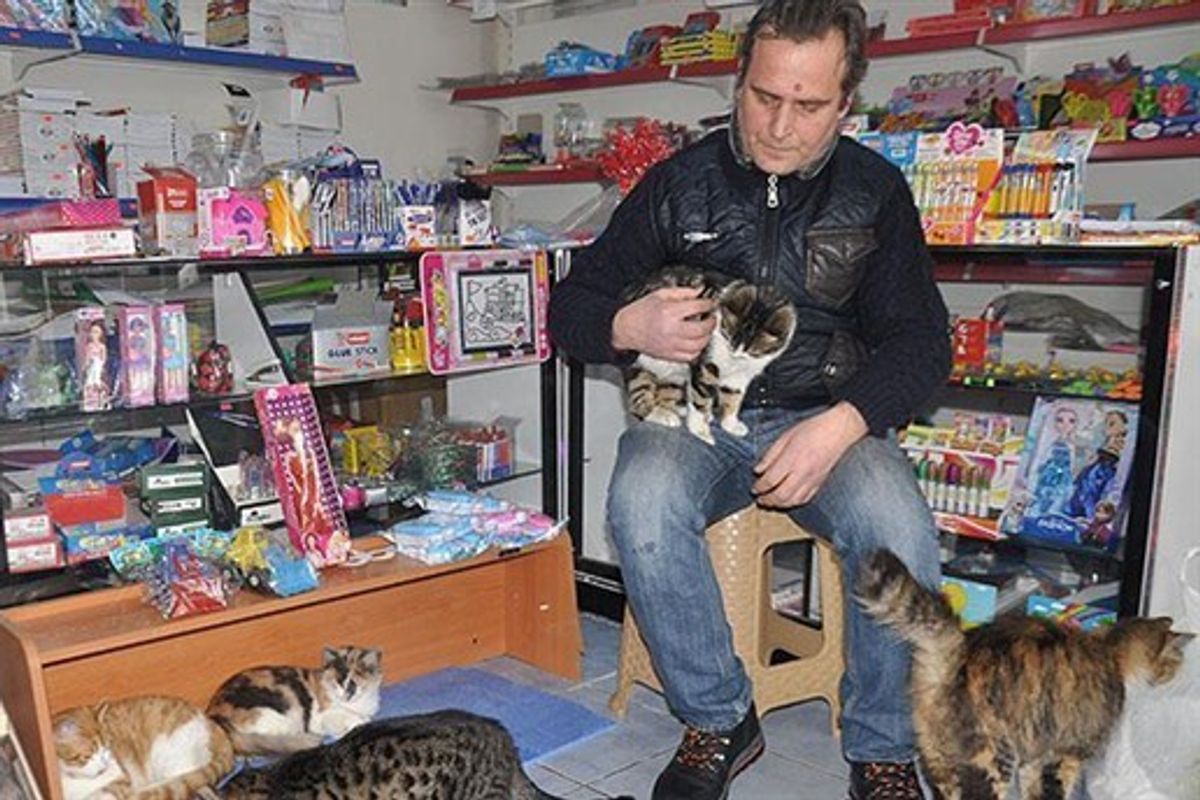 Man Turns His Shop into Refuge for Stray Cats During Harsh Snowstorm