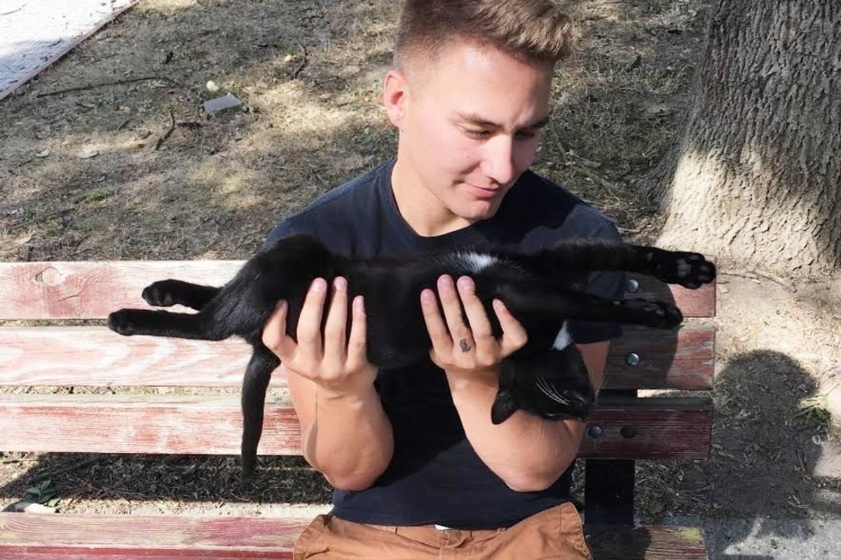 Stray Cat Walks Up to Soldier and Demands to Be Adopted (With Updates)