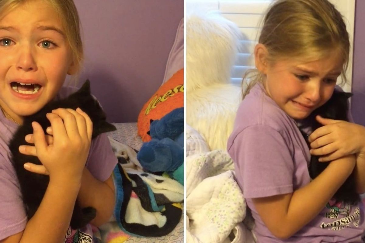 Girl Bursts In Tears When She Meets Kitten Who Looks Like Her Best Friend That Passed Away