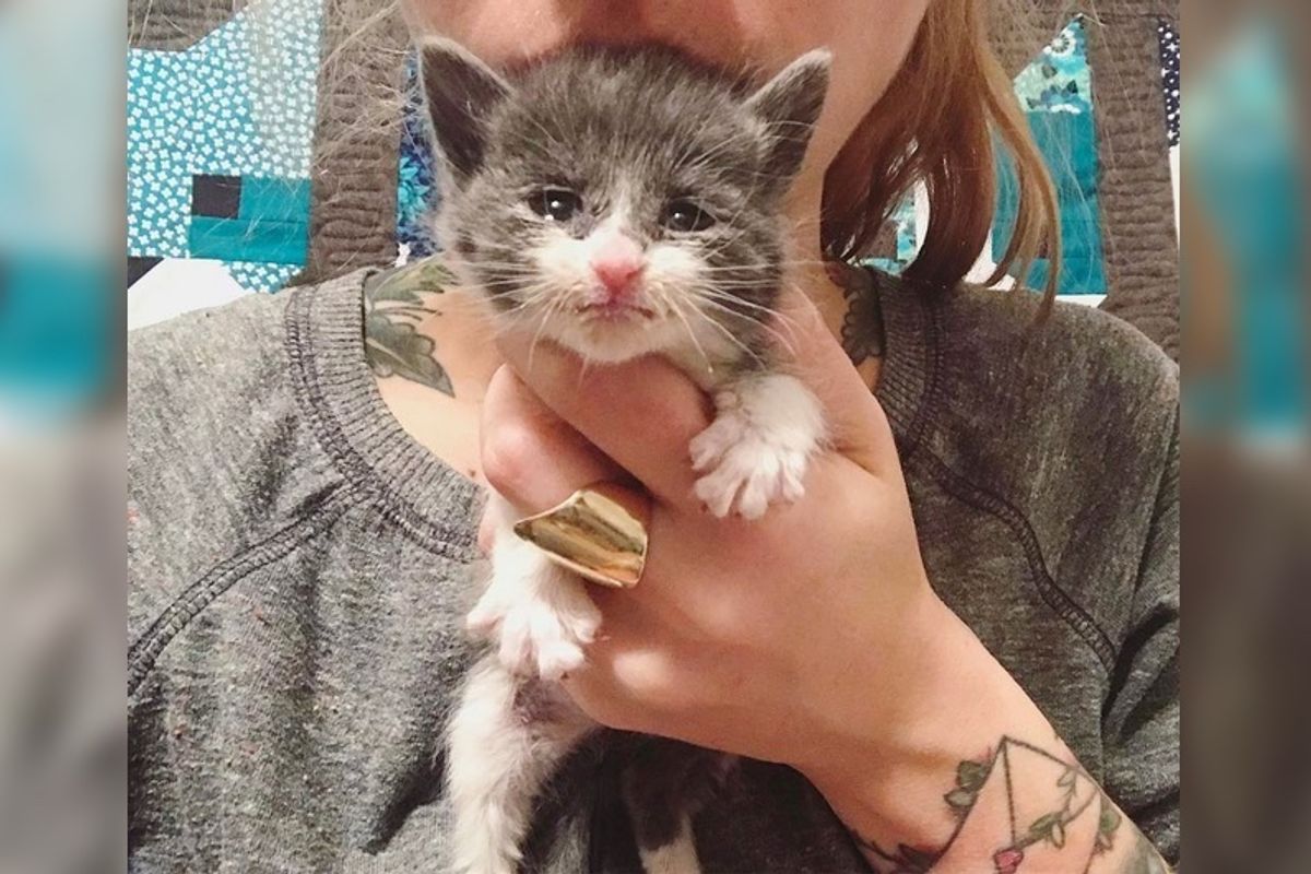 Woman Saves Tiniest Kitten Whose Mom Couldn't Care for Her, 7 Days After the Rescue...