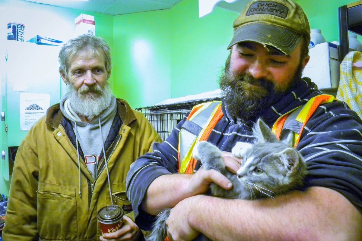 Men Save Kitten Frozen in Snowbank and Bring Him Back to Life